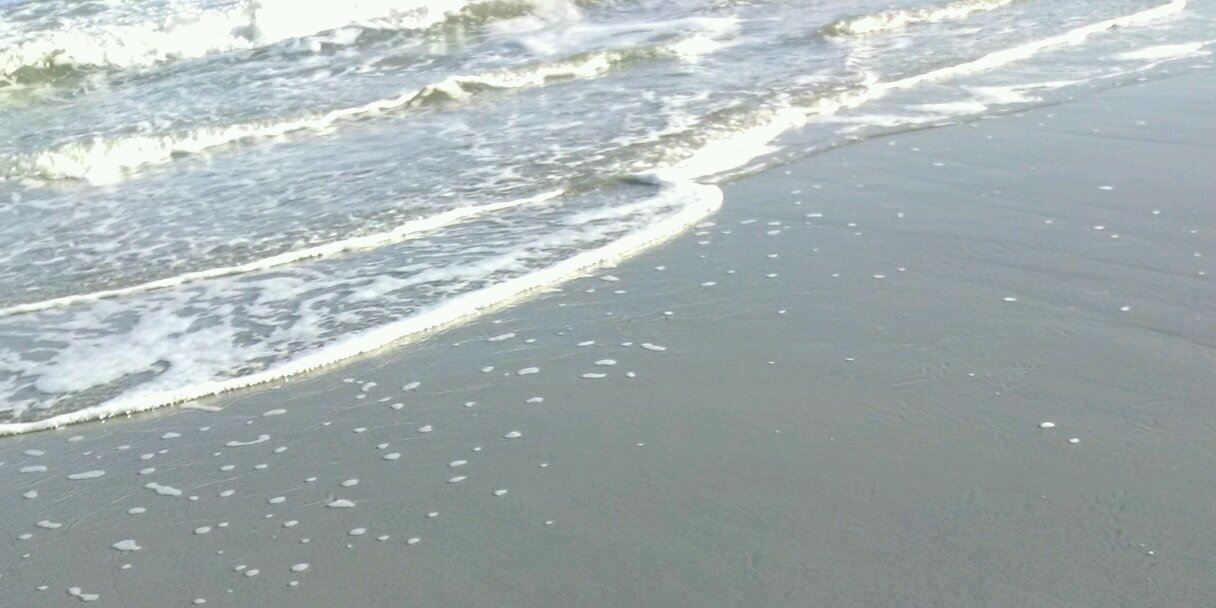 CARRIE_______ banner