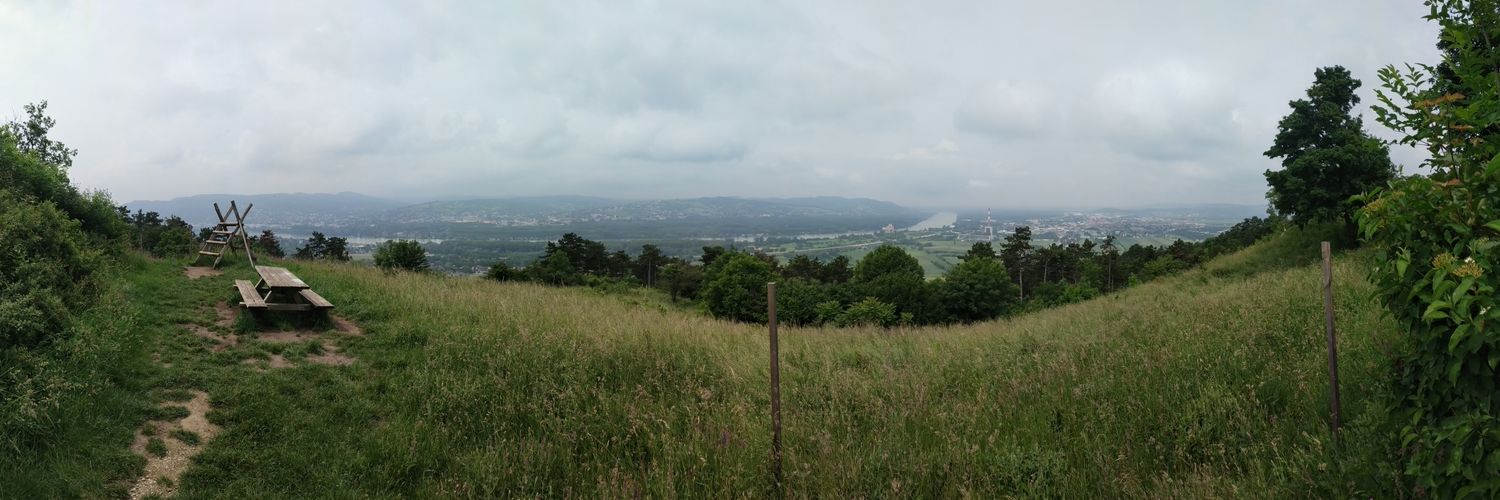 Christian Peterka banner