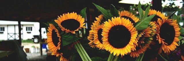 Vickk021's profile banner image