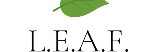 gh_leaf Profile Banner