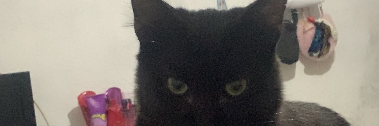 LizeVicente's profile banner image