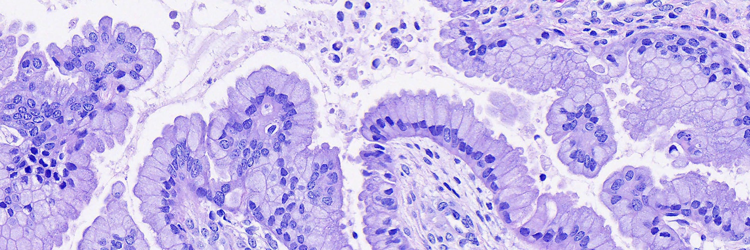 Austin McHenry, MD banner