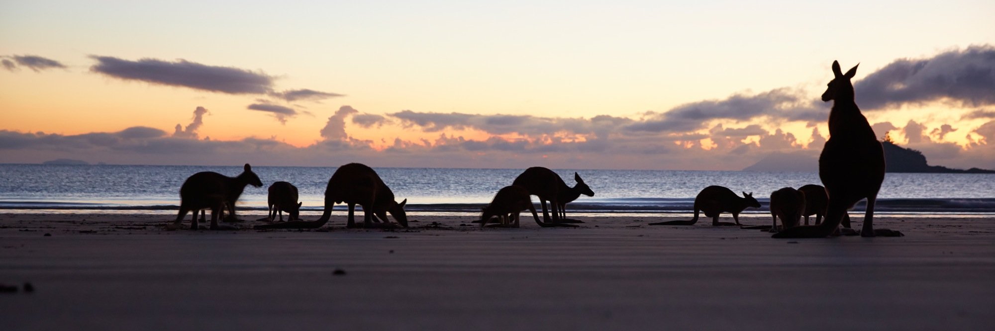 Mackay Region, QLD banner