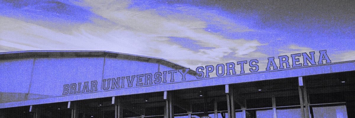 BRIARSAMBITION's profile banner image