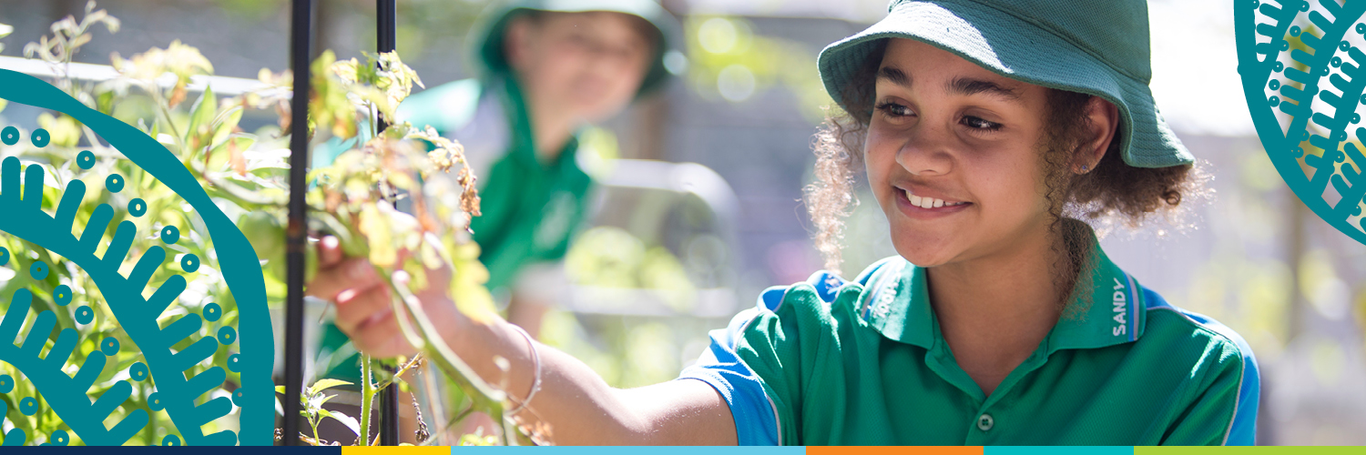 Queensland Department of Education banner
