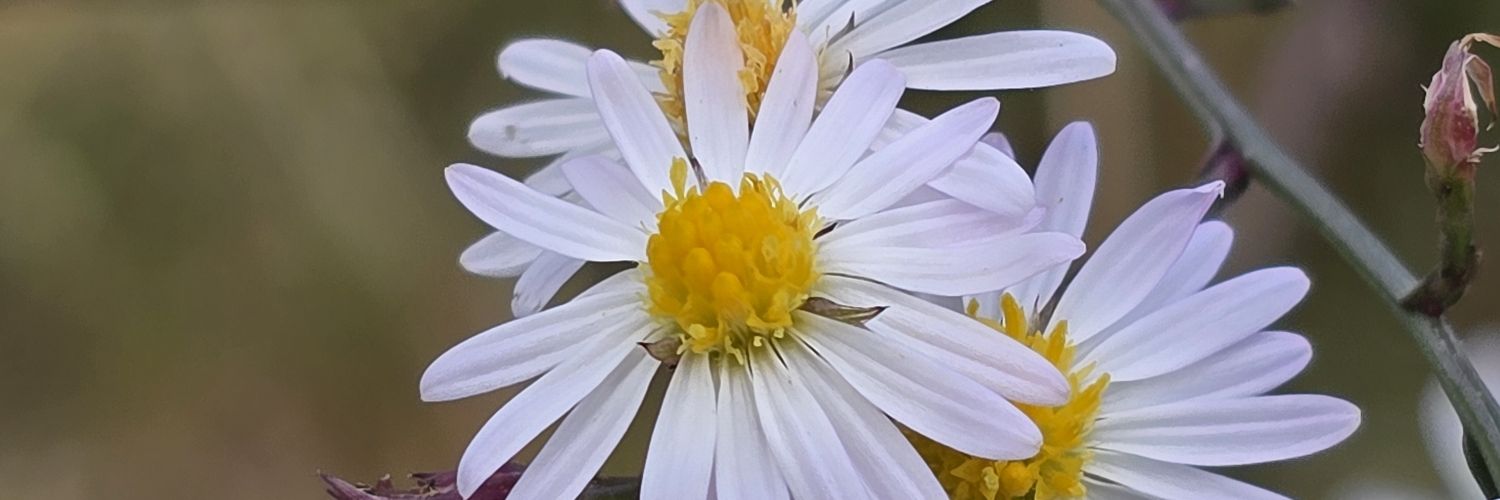 ItzaMeProfitt's profile banner image