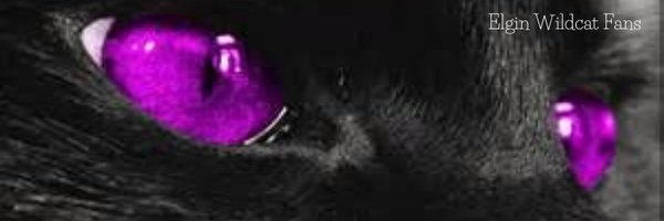 ElginWildcatFan Profile Banner