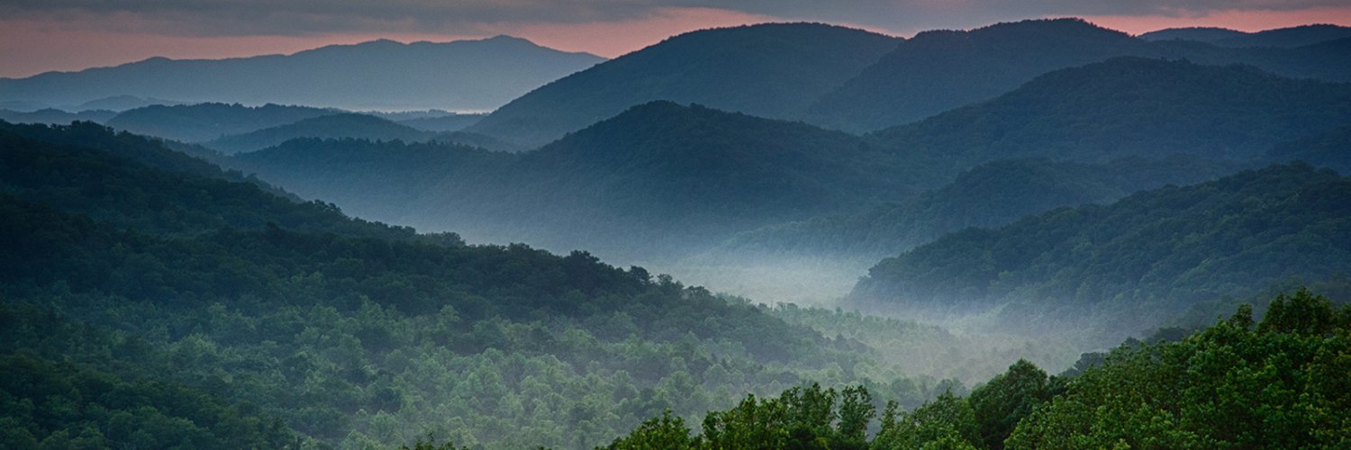 EaglemomTN banner