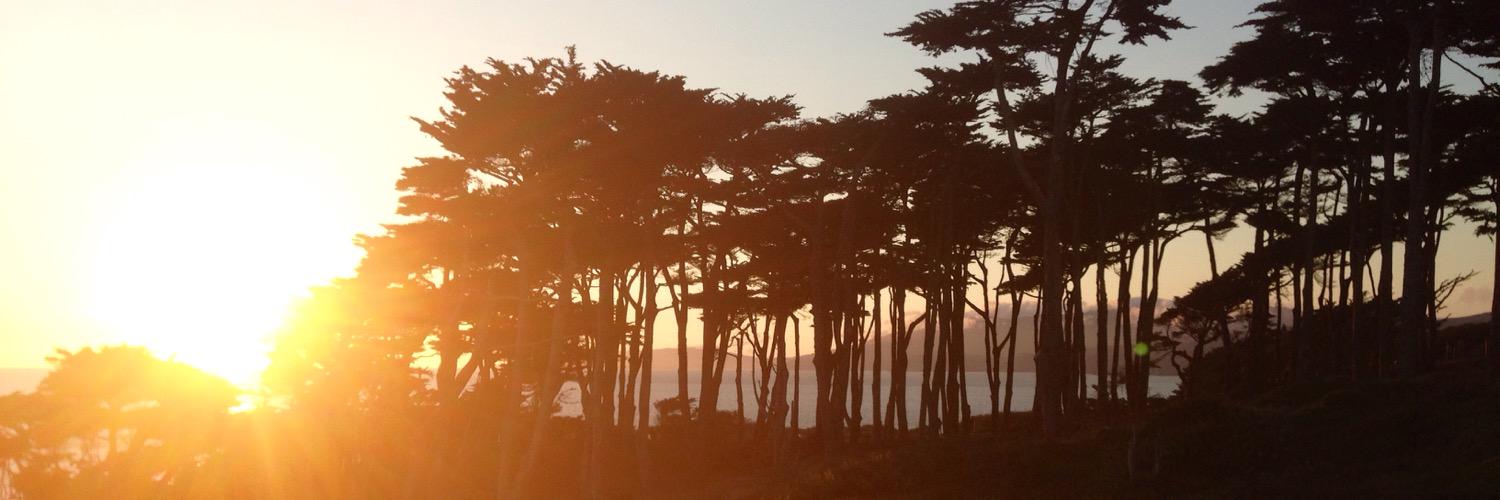 torihillyard's profile banner image