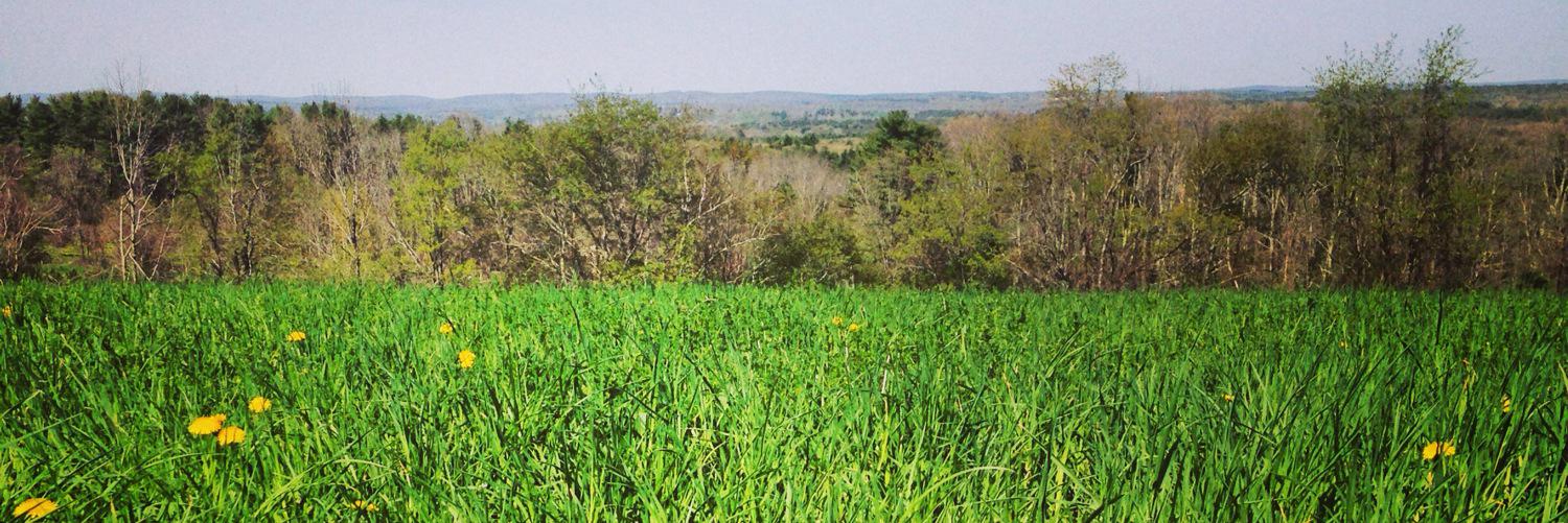 edplante's profile banner image