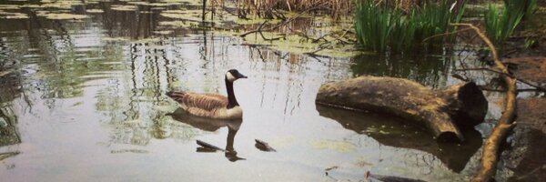 eyzeducate Profile Banner