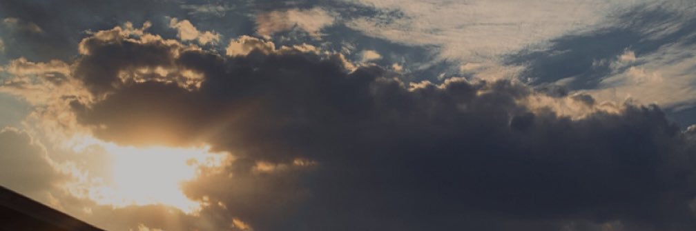dani banner