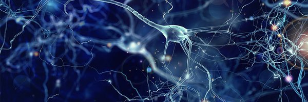 NeuroNews01 Profile Banner