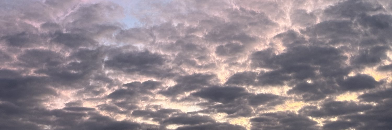 gabbi_lillo's profile banner image