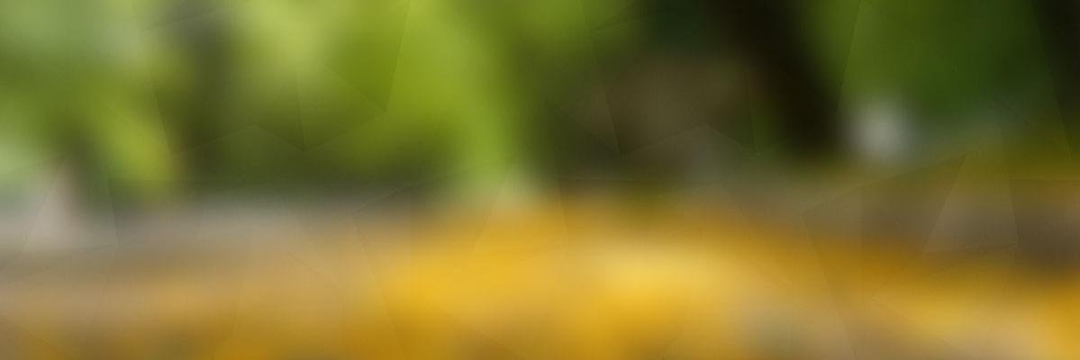 Mrs025_FR's profile banner image