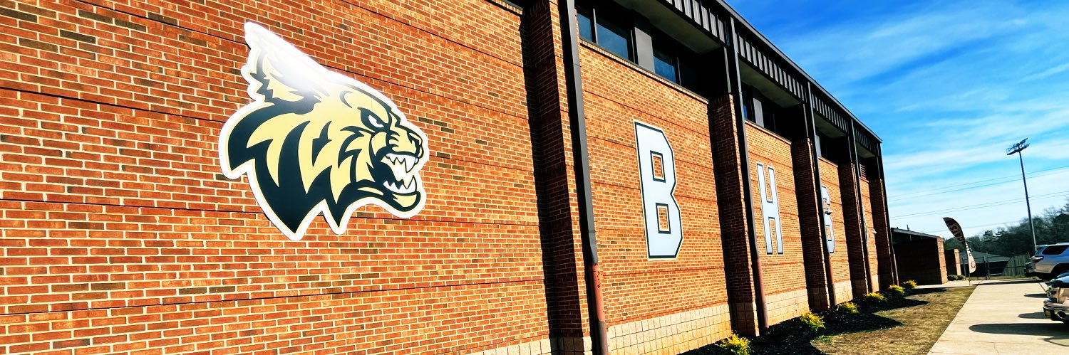 Blacksburg Wildcats Athletics banner