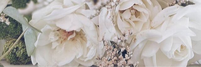 MarsheillaS's profile banner image