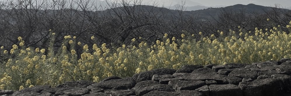 ✿ banner
