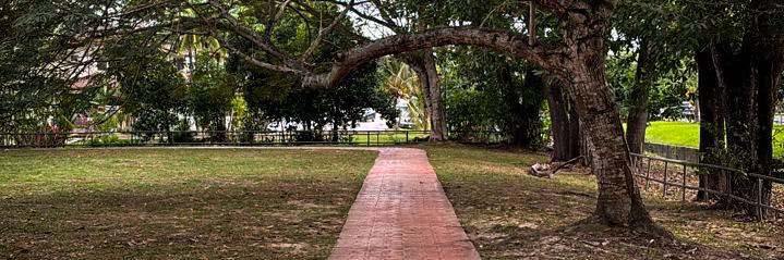 Ordi.na.ry Eddy banner