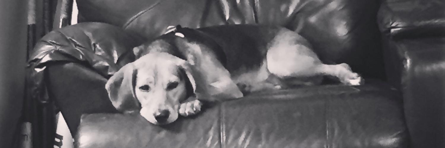 mooser3226's profile banner image