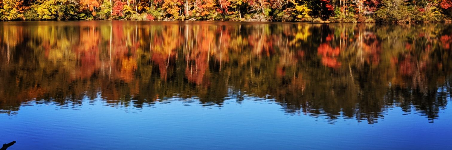 Rob Davis 🥃 banner