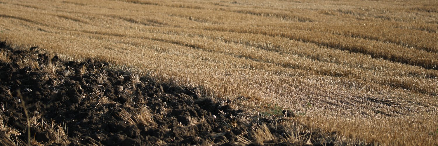 BioagBug's profile banner image