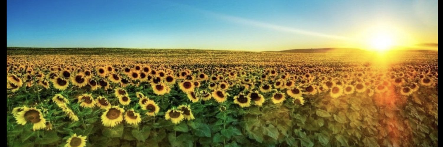 erngar77's profile banner image