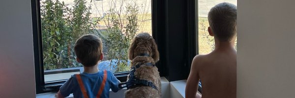 amyfjackson Profile Banner