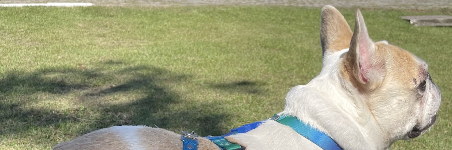 Dfatmg's profile banner image