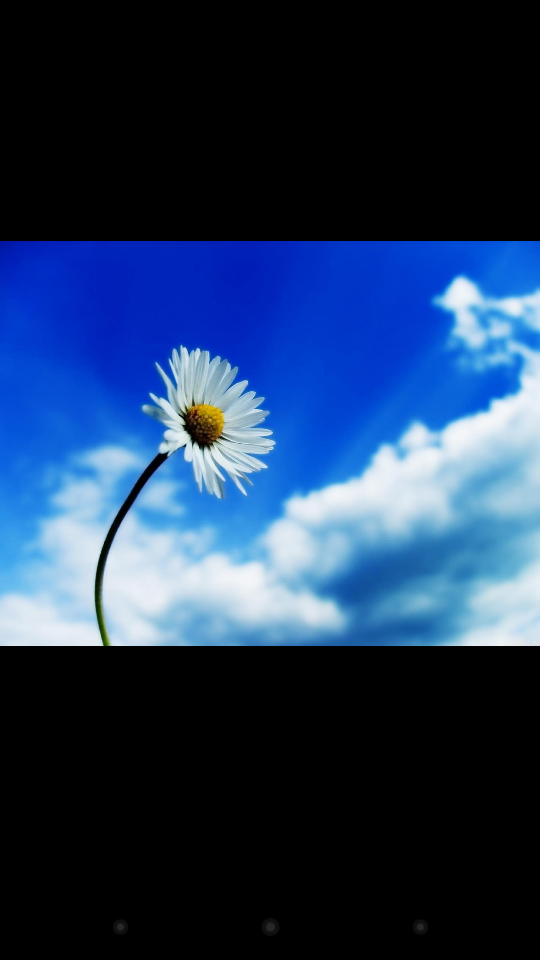 ohnonotagain13's profile banner image