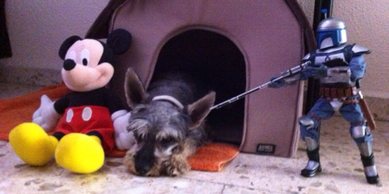 Grace Cuvette banner