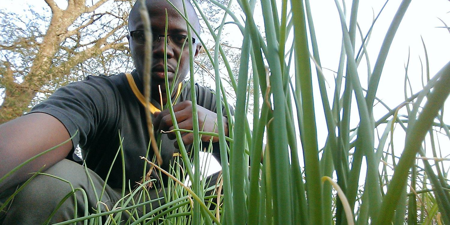 felixjuma's profile banner image