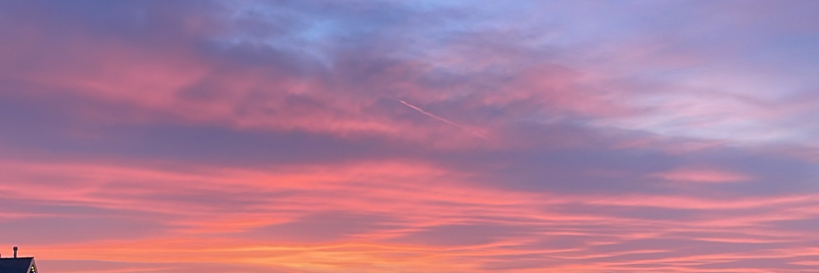 madihancock's profile banner image
