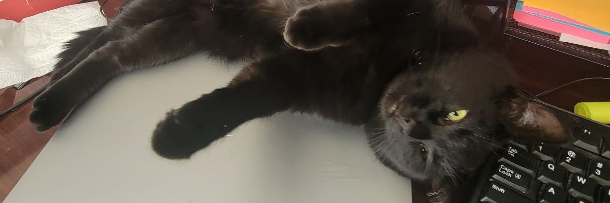 ali 💕 banner