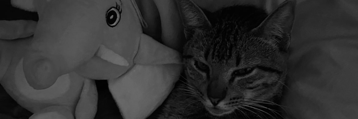 mvbbaptista's profile banner image