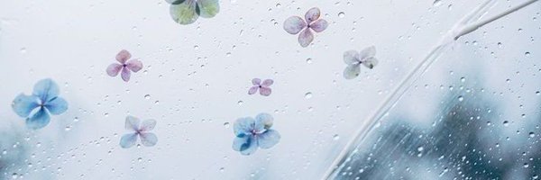 junosorbit Profile Banner