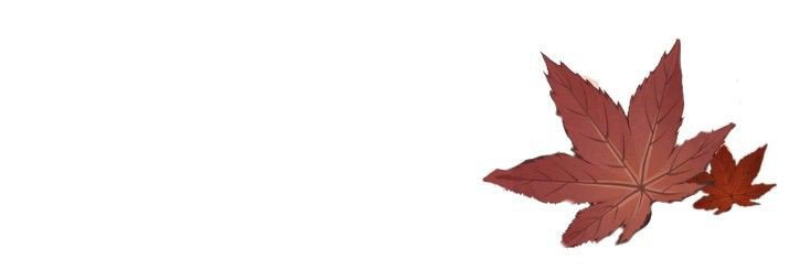 eijufip's profile banner image