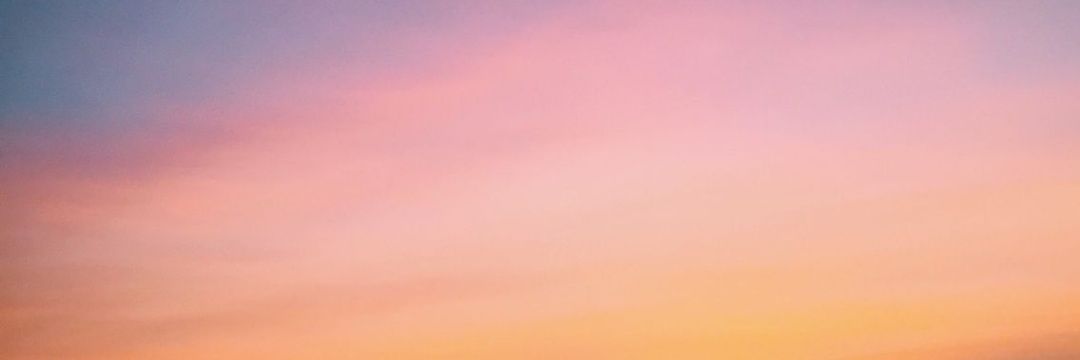 pellarolococo's profile banner image