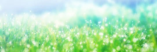 UMIMI🦦 banner