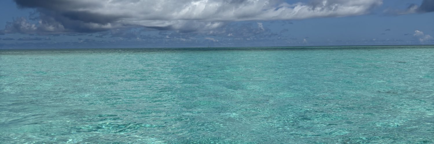 あやぴ🧚 / ayapi banner