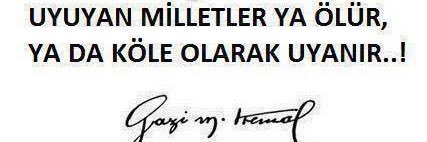 ✨Damla✨ banner