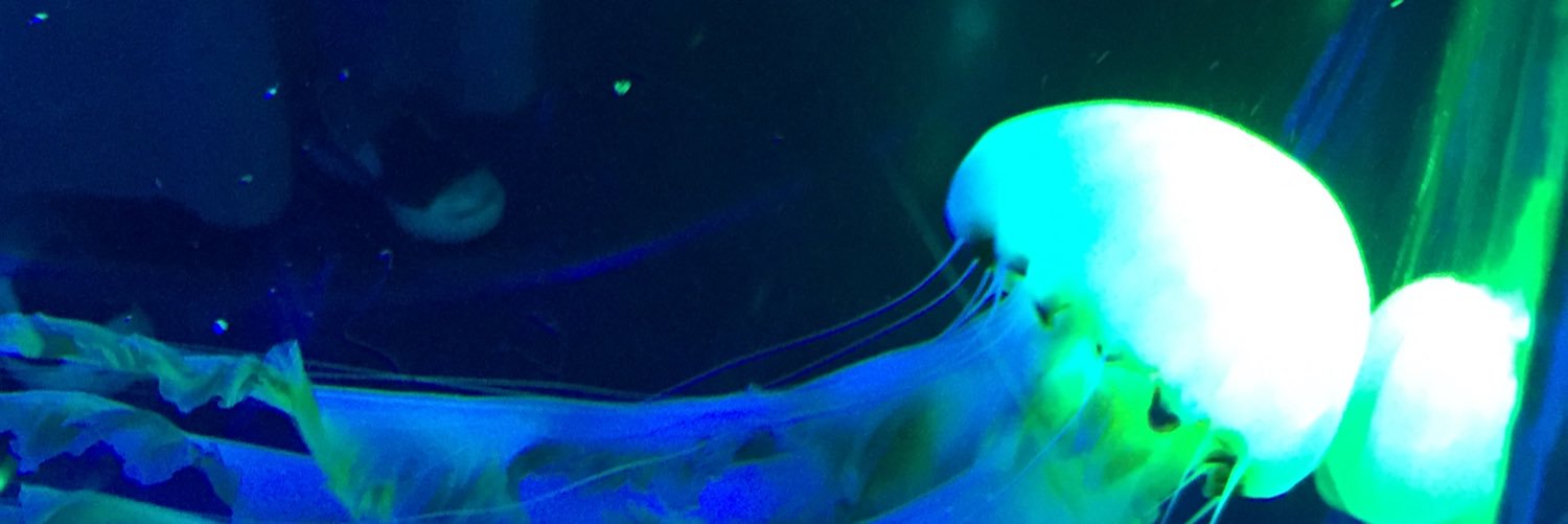 Pen1U's profile banner image