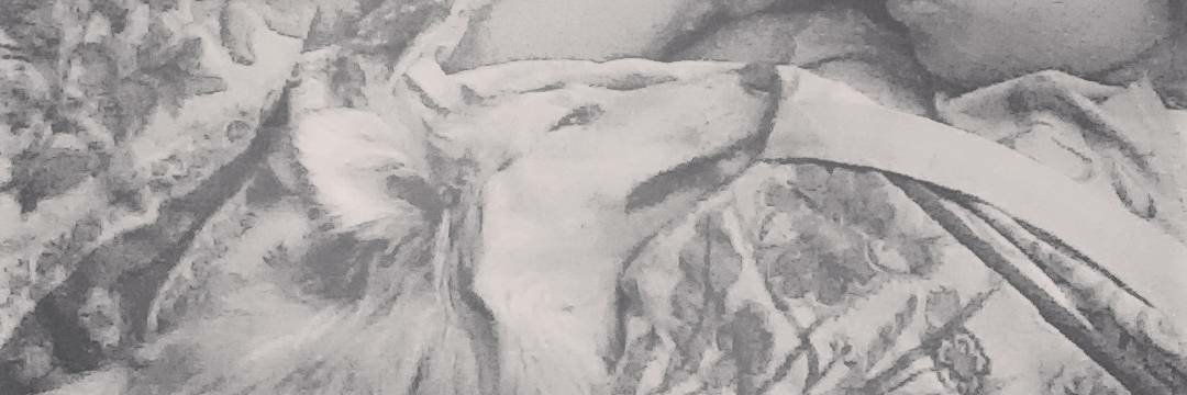 sofimenochio's profile banner image