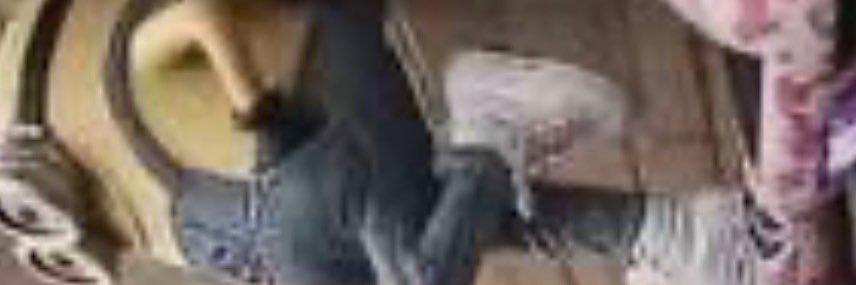 الكايد / شيخ النصر banner