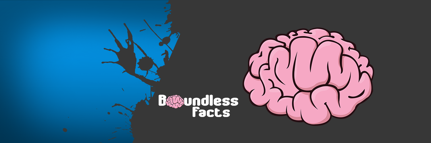 BoundlessFacts's profile banner image