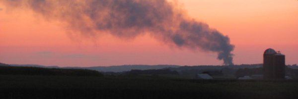 hlsslngfauna Profile Banner