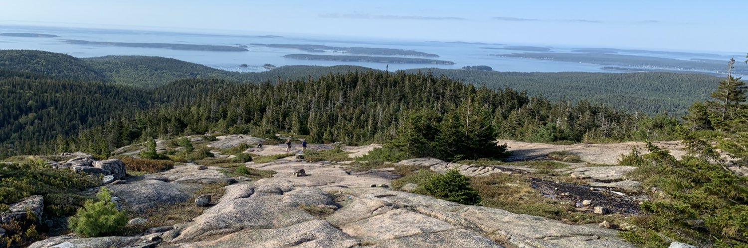 Caroline Cornish banner