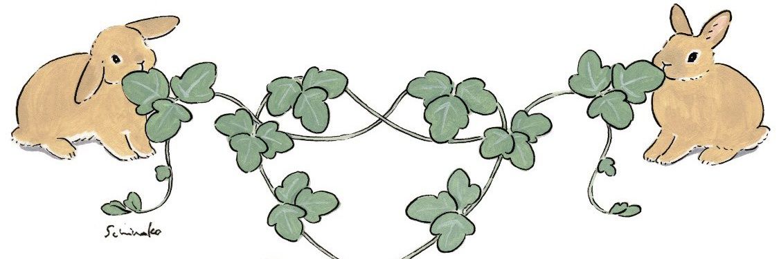 Lime_fall's profile banner image