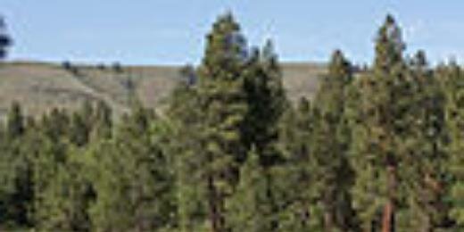 kfranibama's profile banner image