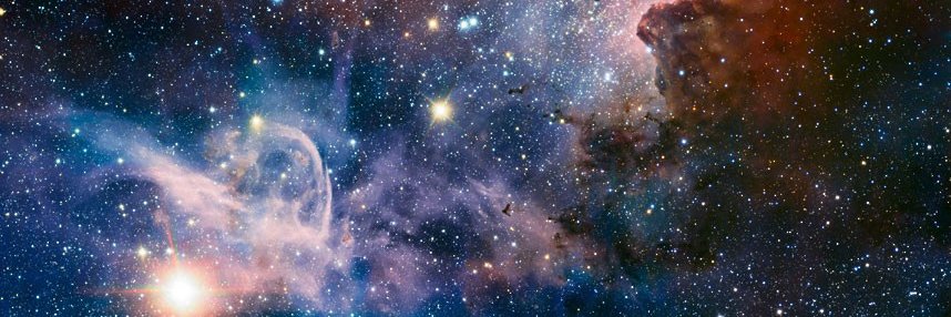 Tisha Areo Maris banner